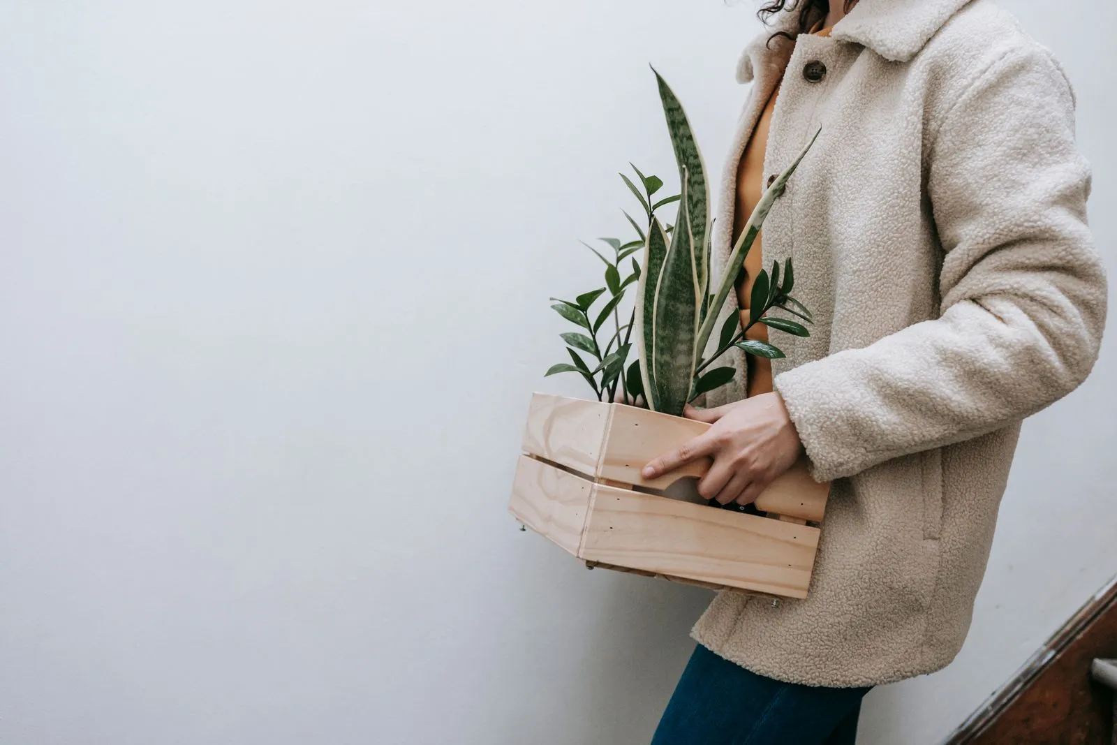 白い壁を背景に、コートを着た人が木箱に入ったサンスベリアと観葉植物を小脇に抱えて歩いている様子