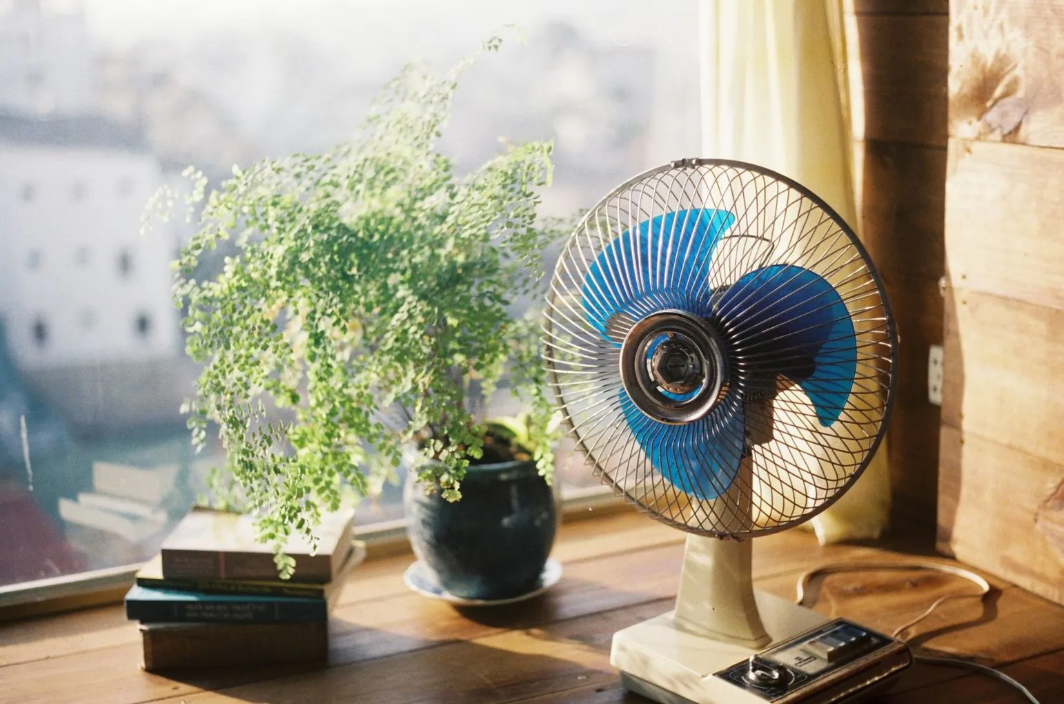 窓辺の木の台に、細かい葉がふわりと広がる鉢植えと、青い羽根の小さな卓上扇風機が並んでいる様子