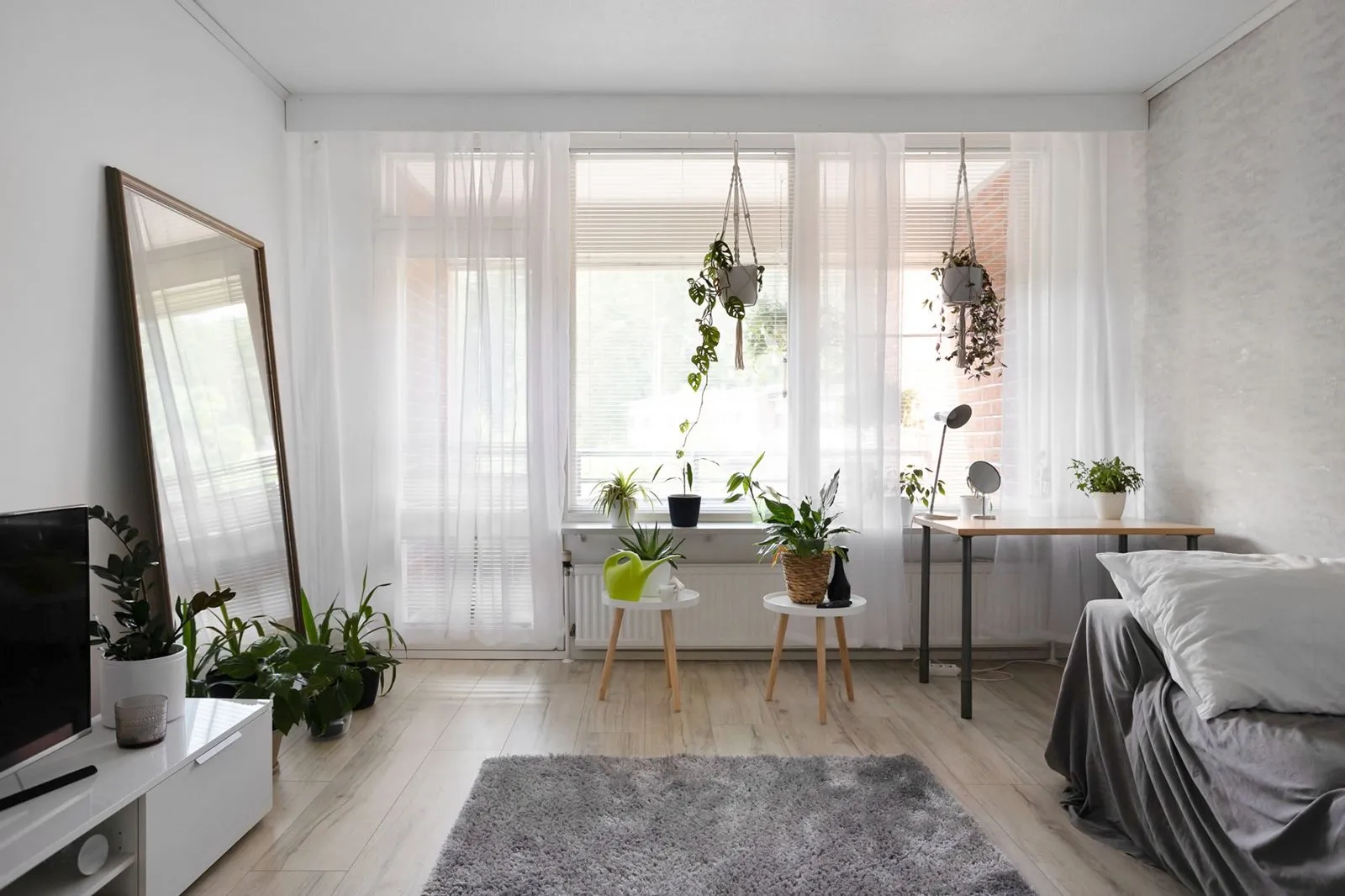 光が入る明るいミニマルな部屋に、棚や窓辺へ何鉢もの観葉植物がすっきりと飾られている様子